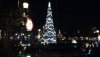 zmas tree night.jpg zmas tree night.jpg