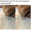 20200506_132846.png