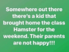 493249