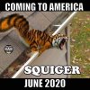 FB_IMG_15888144292101.jpg