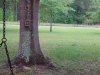 20200508_171719.jpg