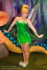 tink.jpg