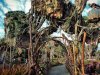 18-8585-AK_Pandora 8585.jpg
