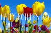 66A2EABF-0AFE-444B-9481-0A86415B4F3F.gif