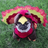 59B84C8F-C3F5-47D1-93E8-163FE21488B7.gif