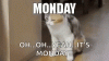 E00BC72E-6185-4015-B2E4-138C24C13A0F.gif