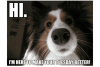 BF46F796-B293-4D7D-A965-0F1874997FF3.png