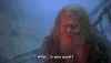 monty python quest.gif
