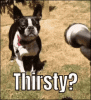 34C22CF8-0B2F-4D74-A7D8-AEAE12A7103F.gif