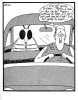beeincar.jpg