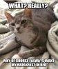 98671759-7C9F-4C5C-9169-622B5DE9828F.jpeg
