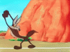 coyote.gif