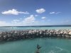 42C9EE4F-3476-4904-B546-F159F2C31C88.jpeg