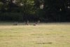 IMG_0832.jpeg