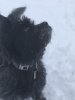 A5AD0423-8593-4860-8D03-B482B6475365.jpeg