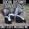 496821
