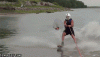 scarping-looks-to-be-the-most-fun-way-to-fish.gif