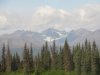 IMG_3224.JPG