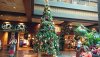 poly xmas tree 2018.jpg