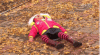 FF3F17EC-E1B3-498E-B5AF-9157552C03A5.gif