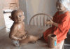 F3466DCA-B94F-4C00-80CE-4659658284C4.gif