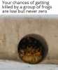 498408
