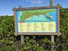 Castaway Cay map copy.jpg
