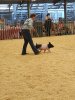 IMG_20200606_145134016.jpg