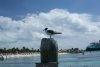 20190308_055Bird.jpg