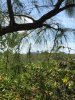 IMG_7263 copy.jpg