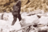 C53B9ED6-853A-48D8-8206-F041256E6CFB.gif C53B9ED6-853A-48D8-8206-F041256E6CFB.gif
