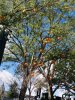 A90CCB26-0627-42D8-A179-9930ADB43BBB.jpeg