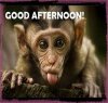 98086961-F910-4E27-84EE-C772B7C0CE47.jpeg