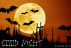 4F17CFD5-066B-42F4-BAD5-F2790F0BEA3D.gif