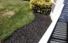 20200618_102857.jpg