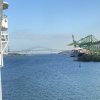 IMG_1909.jpeg