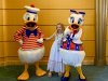 IMG_1947.jpeg