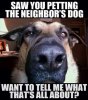 FB_IMG_15909274204591.jpg