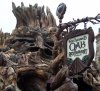 USF-IOA (71).jpg