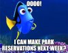 dory.jpg