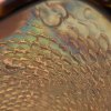 IMG_1985.jpeg