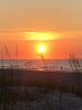 IMG_3532.jpeg