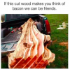 503995