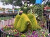 IMG_20160503_165434645.jpg