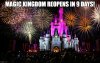 Magic Kingdom.jpg