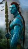 Avatar.jpg