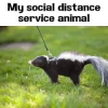 507982