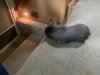 904B8487-1004-462F-B268-9F2FBFE695E0.jpeg