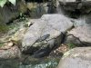 60C15617-0849-4066-AB69-8870F280EDEA.jpeg