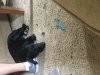 A6971AF7-209C-4104-BDF3-5B4BA3CA1B33.jpeg